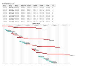 2025年项目关键节点管理